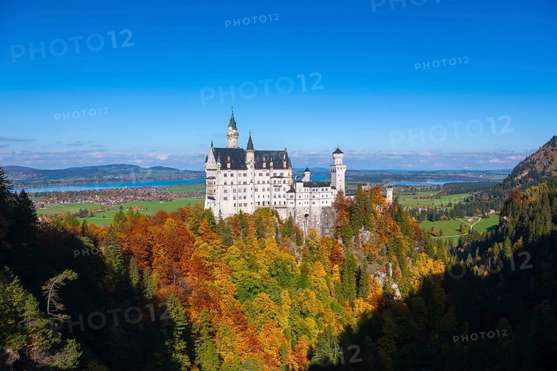 The picturesque Neuschwanstein Castle overlooks colorful autumn forests under clear skies, Schwangau, Königswinkel, Ostallgäu, Allgäu, Swabia, Bavaria, Germany