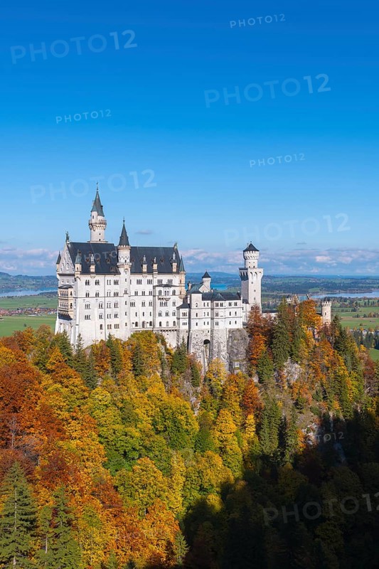 Neuschwanstein Castle stands majestically above colorful autumn forests and bright blue skies, Schwangau, Königswinkel, Ostallgäu, Allgäu, Swabia, Bavaria, Germany