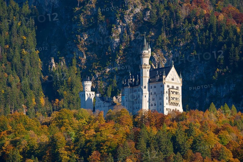 Neuschwanstein Castle surrounded by autumn-colored forests against a dramatic mountain backdrop, Schwangau, Königswinkel, Ostallgäu, Allgäu, Swabia, Bavaria, Germany