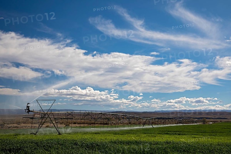 Alcova, Wyoming - Sprinklers water a crop growing in the Wyoming desert. Water in this otherwise dry area comes from the nearby North Platte River