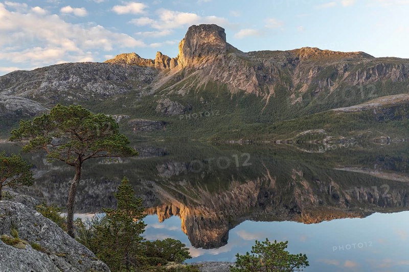 Morning dream over the quiet Steigtindvatnet near Bodø. Pine forest on the rock face at sunrise
