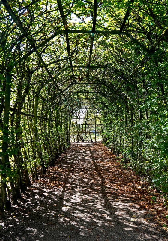 Pergola in Rheinsberg Castle Park, Ruppiner Land, Brandenburg, Germany