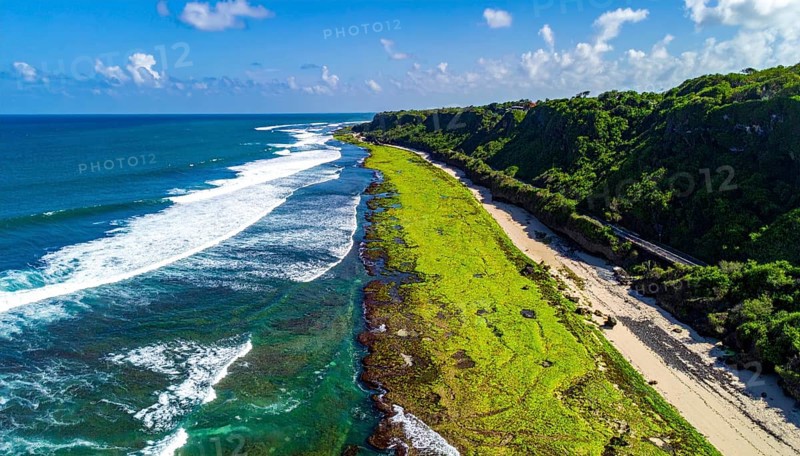 Green algae on the sandy shore of an ocean. Fascinating phenomenon of wild coastline with green plants, white sands, stone, blue water and cliffs, Aerial view of a beautiful abstract unreal and textured landscape, AI generated
