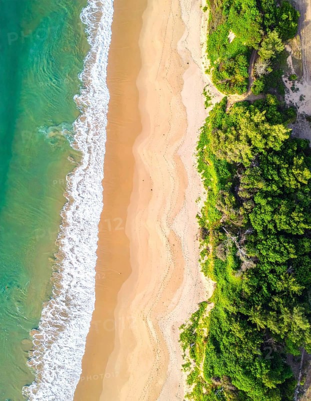 Green algae on the sandy shore of an ocean. Fascinating phenomenon of wild coastline with green plants, white sands, stone, blue water and cliffs, Aerial view of a beautiful abstract unreal and textured landscape, AI generated