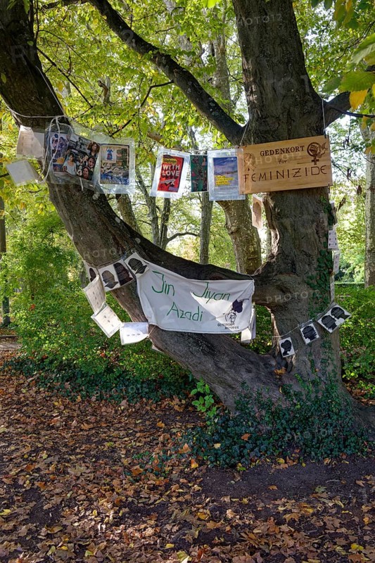 Installation on feminicides, reminder, violence against woman, memorial site, plane tree alley on Neckar Island, Tübingen, Baden-Württemberg, Germany