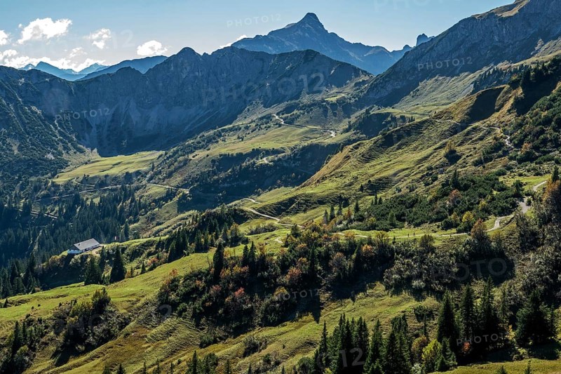 View of hiking trails and the Allgäu mountains from the Saalfelder Höhenweg, Schochenspitze in the back, Tannheimer Valley, Tyrol, Austria