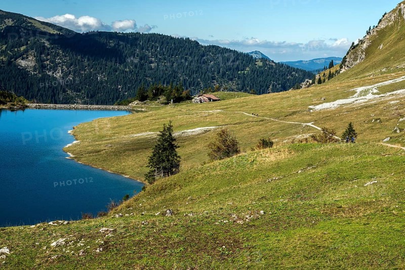 Traualpsee, right hiking trail to Obere Traualpe, Allgäu Alps, Tannheim, Tyrol, Austria
