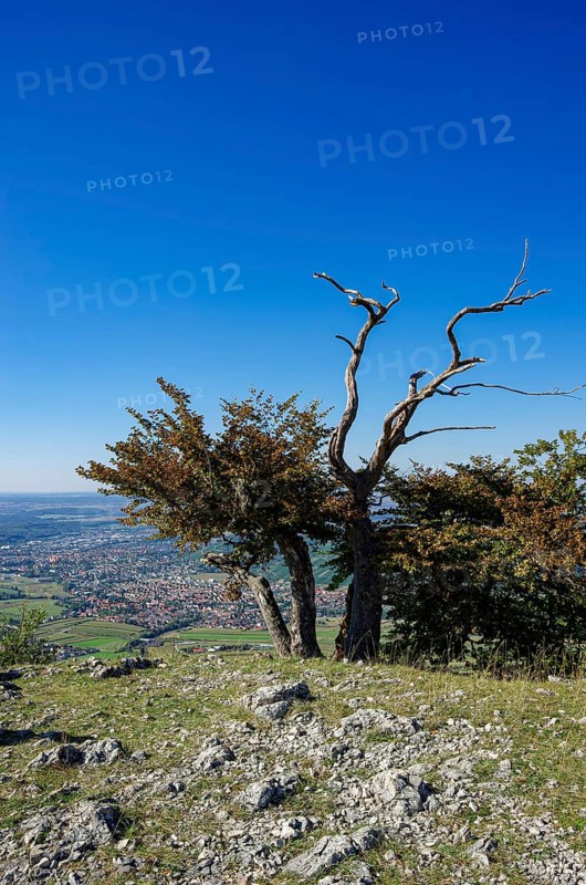 Picturesque scenery on the eaves of the Swabian Jura near Olgafels on Rossfeld in Metzingen-Glems, Baden-Württemberg, Germany