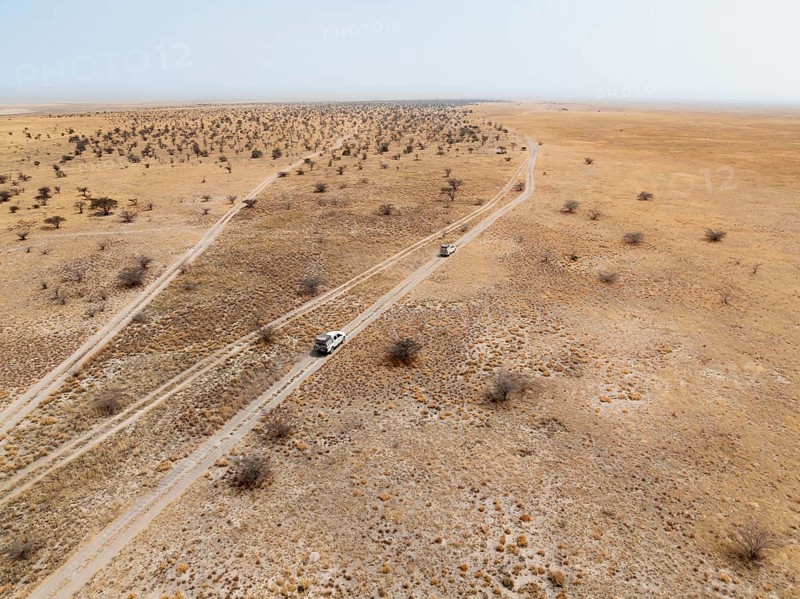 Aerial view of two off-road cars driving on a road in arid countryside, African savanna, Botswana