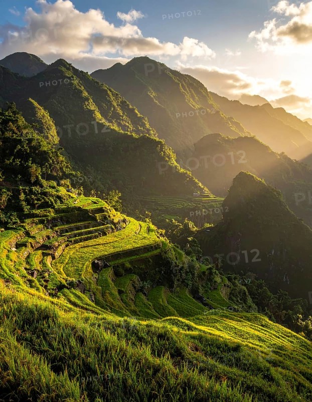 Early morning light bathes Philippines rice terraces cascading down mountain slopes, beautiful golden light, AI generated