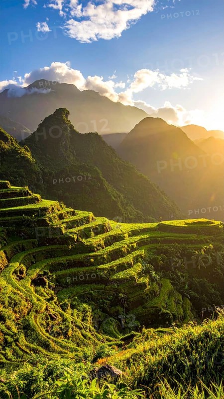 Early morning light bathes Philippines rice terraces cascading down mountain slopes, beautiful golden light, AI generated