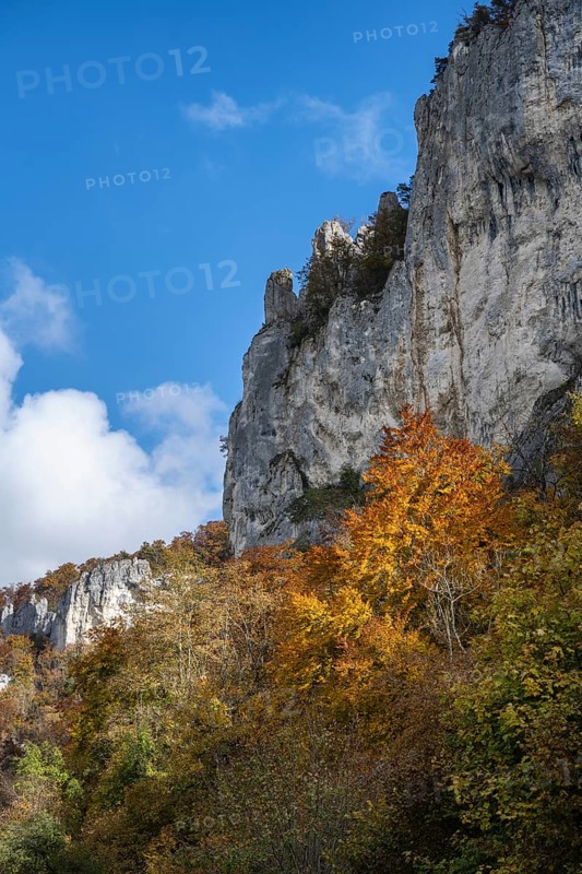 Distinctive Jurassic limestone cliffs in the upper Danube Valley, surrounded by autumn vegetation, Sigmaringen district, Baden-Württemberg, Germany