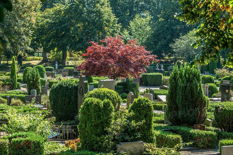 Trees and bushes among gravestones in the cemetery in Ystad, Skåne County, Sweden, Scandinavia