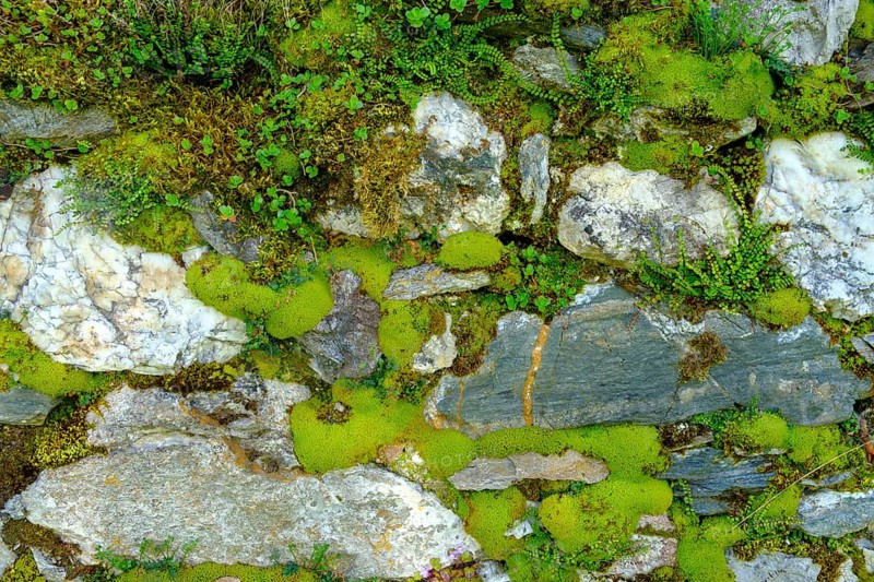 Moss-covered wall, cemetery wall, parish church of St. Johannes der Täufer, Weissbriach, Gitschtal, Carinthia, Austria
