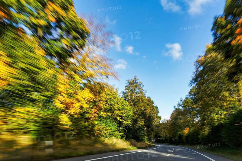 Car ride over winding country road, autumn leaves, sunny autumn weather, motion blur, Barntrup, Ostwestfalen-Lippe, Teutoburger Wald Eggegebirge nature park Park, North Rhine-Westphalia, Germany