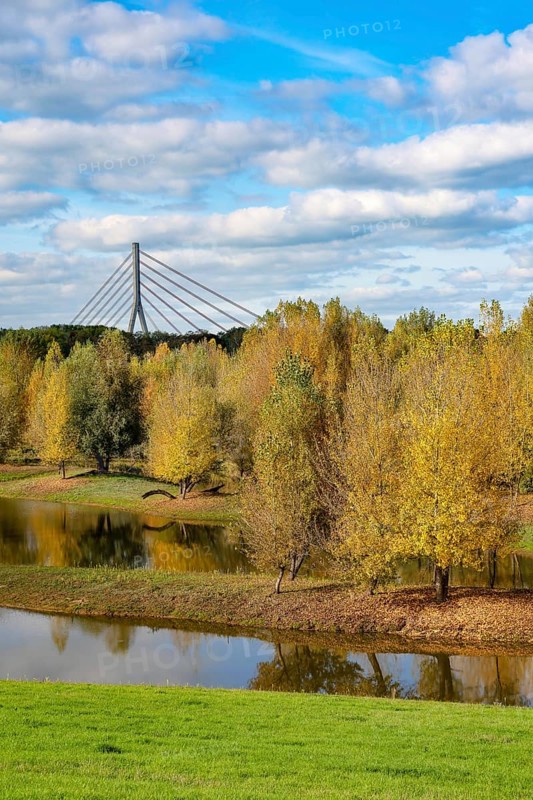 Wesel, Lower Rhine, North Rhine-Westphalia, Germany - autumn on the Lippe, trees with colorful autumn leaves in the restored river floodplain area of Büdericher Insel above the mouth of the Lippe into the Rhine, Lippe estuary nature reserve, in the back the Lower Rhine bridge Wesel