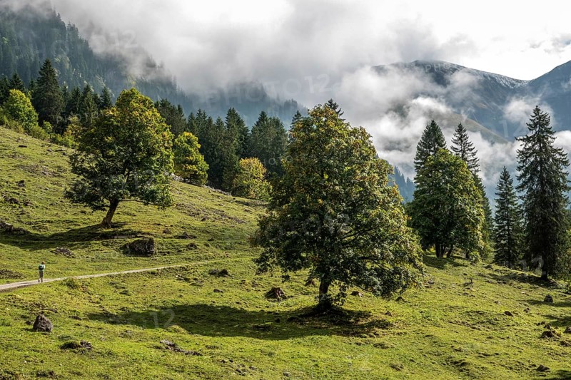 Hiking trail in the Dietersbachtal from Gerstruben to Alpe Dietersbach, Nebelschwanden hang in the valley, Oberstdorf, Allgäu Alps, Oberallgäu, Bavaria, Germany