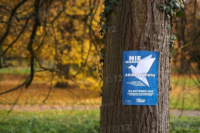 Poster on a tree trunk, call for a demonstration against war, peace demo, dove of peace, day of German unity, autumn leaves, leaves, main cemetery, autumn, Stuttgart, Baden-Württemberg, Germany