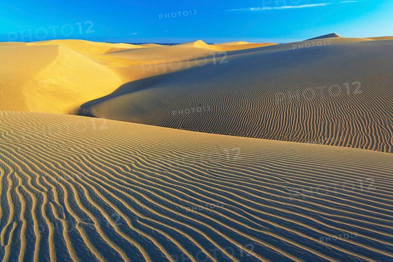 Sand dunes, Maspalomas, Playa del Ingles, Gran Canaria, Canary Islands, Spain