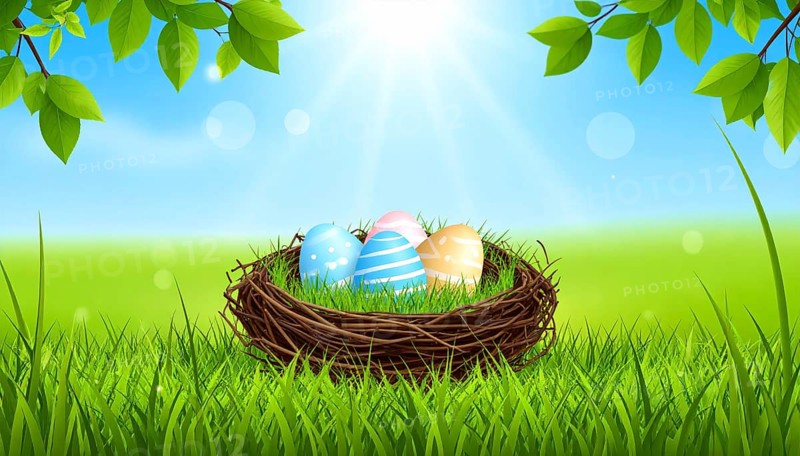 Nest with easter eggs in grass on a sunny spring day, Easter wallpaper decoration drawing, banner, panorama, background, abstract vector illustration, AI generated