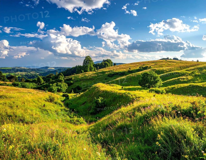 Fresh summer hilly Landscape with blooming Meadow, green plants, Blue Sky with cloudy sky, serene nature background, AI generated