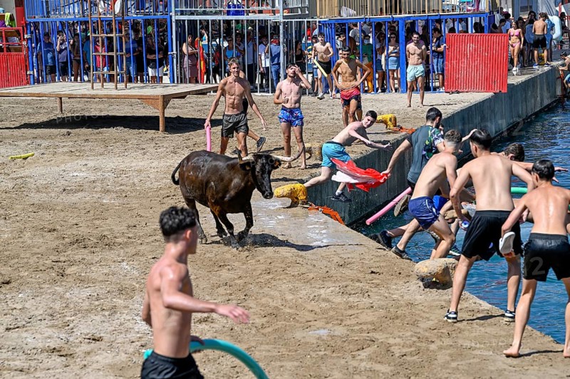 Bous a la Mar Fair, in English Bulls in the Sea, Bullfighting, Javea or Xàbia, Alicante Province, Comunidad Valenciana, Spain