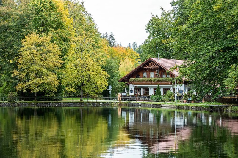 Autumn atmosphere, autumnal trees on Lake Mittersee, in the back forest management on Lake Mittersee, Füssen, Allgäu, Bavaria, Germany