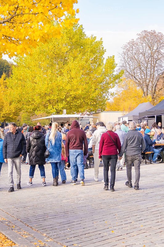 Group of people walking through an autumnal park with yellow deciduous trees, Urschelherbst street festival, Nagold, Germany