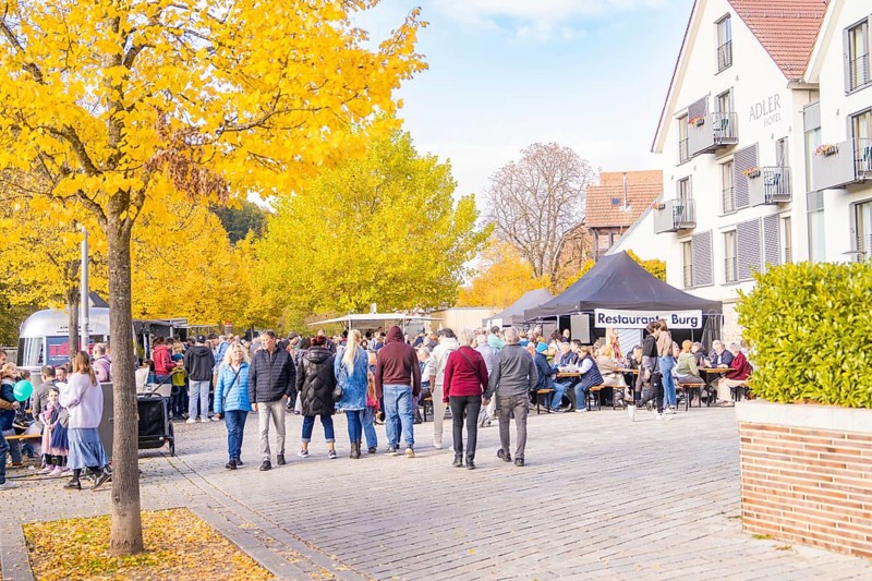 Busy street festival with lots of people, autumn trees and buildings in the background, Urschelherbst street festival, Nagold, Germany