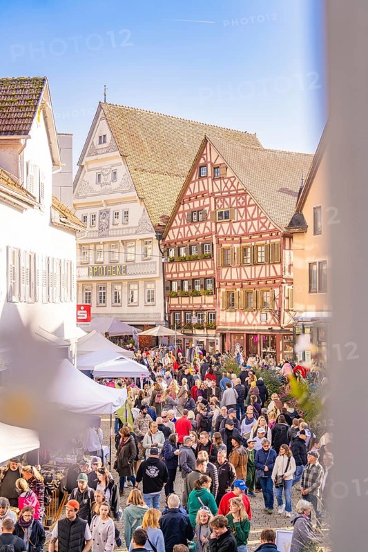 Lively market square in the old town with half-timbered houses in sunny weather, Urschelherbst street festival, Nagold, Germany