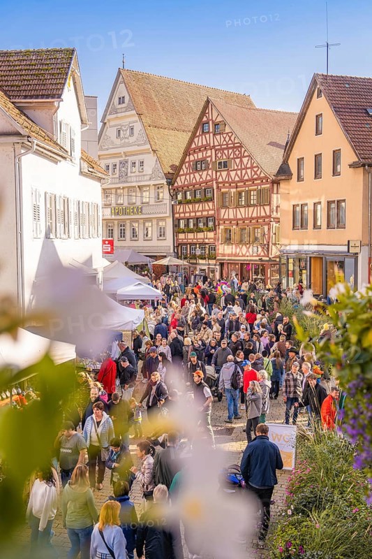 Large crowd at a market in the old town, surrounded by sunny half-timbered houses, Urschelherbst street festival, Nagold, Germany