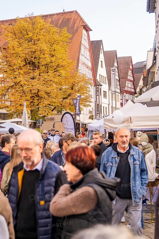 Street scene with people and traditional houses surrounded by autumn trees, Urschelherbst street festival, Nagold, Germany