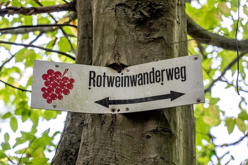 Guide to the red wine hiking trail in the Ahr Valley, logo, here near Altenahr, Rhineland-Palatinate