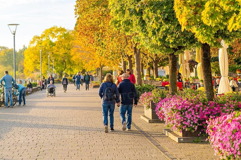People walk along a blooming promenade in sunny autumn weather, Überlingen, Lake Constance, Germany