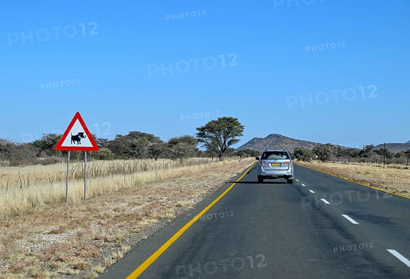 Sign attention animal crossing on the B1 highway between Windhoek and Otjiwarongo, near Okahandja, Otjozondjupa region, Namibia