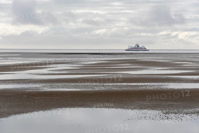 A ferry of the Wyker Dampfschiffs-Reederei (W.D.R.) sails at low tide in the Wadden Sea between Föhr and the mainland, Schleswig-Holstein, Germany