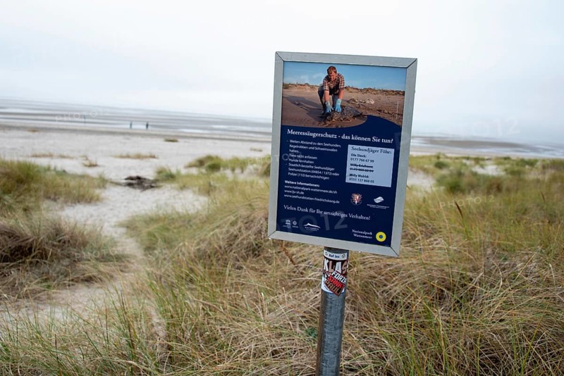 A sign on the beach on the island of Föhr provides information about marine mammal protection in the Wadden Sea National Park, Schleswig Holstein, Germany