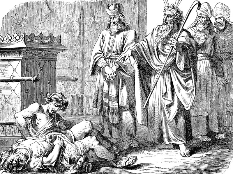 The Lord sent out fire and Nadab and Abihu died, sacrifice, death, dying, stranger, Moses, staff, priest, lying, men, pain, third book of Moses, chapter 11, Old Testament, Bible, historical illustration 1877