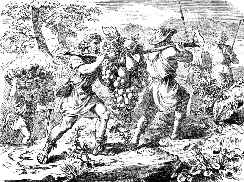 The spies take samples of the fruits of Canaan, God, exploration, brook Estol, vine, figs, pomegranate, children of Israel, agriculture, fruit, wine, grapes, carry, basket, fruit, transport, food, nourishment, fourth book of Moses, chapter 13, Old Testament, Bible, historical illustration 1877