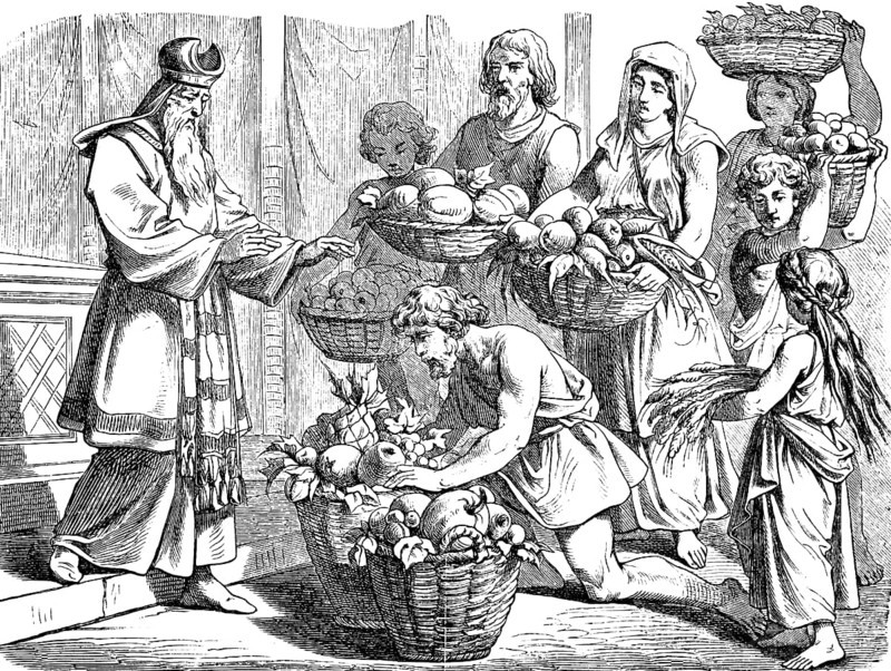 Put the fruits of the land in a basket, offering of the first fruits, land of milk and honey, proverb, priest, first fruits, full baskets, offerings, children, woman, men, apples, pumpkin, grain, fruit, crop, agriculture, harvest, tithe, Leviticus, chapter 26, Old Testament, Bible, historical illustration 1877