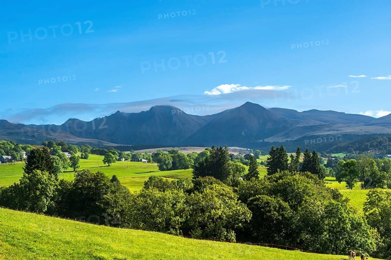 Expansive green fields and trees with mountains in the distance under a clear blue sky, Massif of Sancy in Auvergne Volcanoes Regional Park. Puy de Dome. Auvergne Rhone Alpes. France