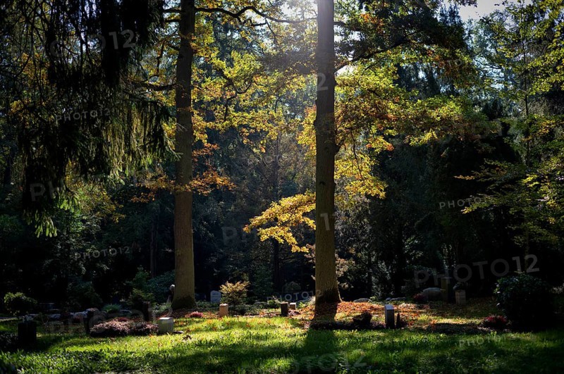 Gravesite, gravestone, graves, forest cemetery, autumn, autumnal, Stuttgart, Baden-Württemberg, Germany