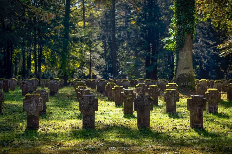 Remembrance of fallen soldiers in the First World War, war graves, graves, forest cemetery, autumn, autumnal, Stuttgart, Baden-Württemberg, Germany