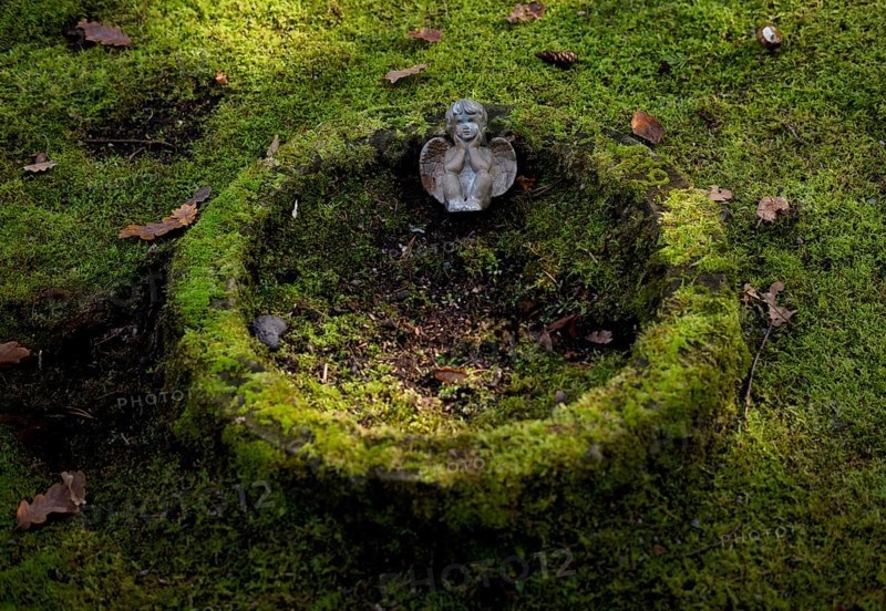 Detail, angel, angel figure on gravesite, tomb, grave moss, moss-covered, forest cemetery, Stuttgart, Baden-Württemberg, Germany