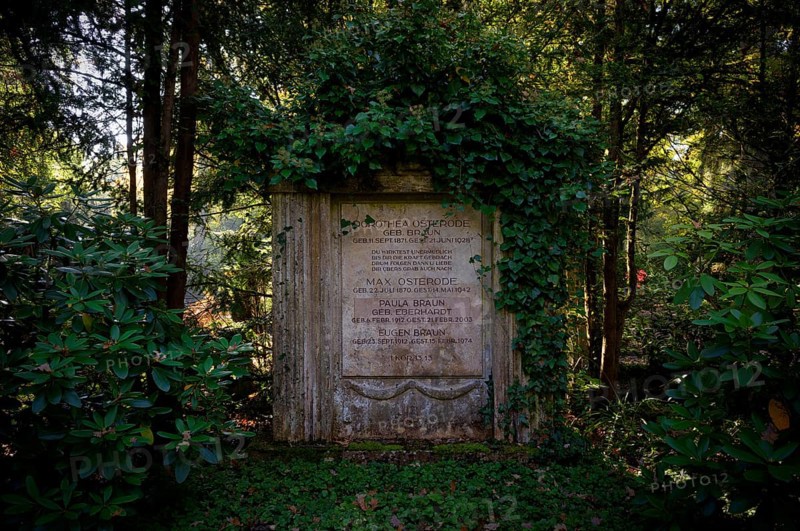Gravesite, Gravestone, Grave of Dorothea Osterode, Forest Cemetery, Autumn, autumnal, Stuttgart, Baden-Württemberg, Germany