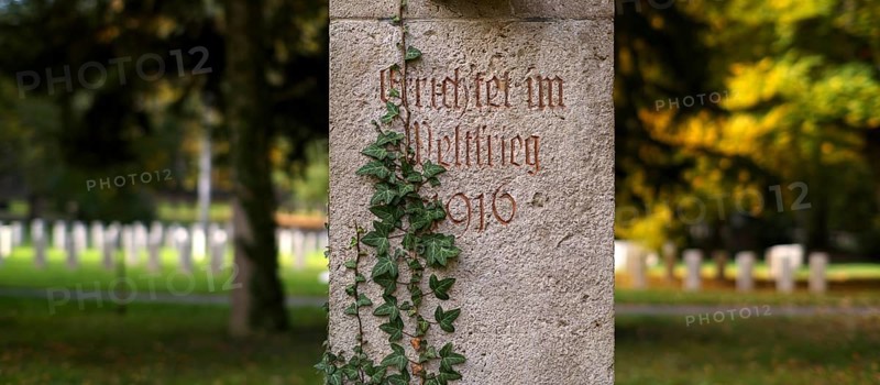 Commemoration of fallen soldiers in the First World War, war graves, graves, forest cemetery, ivy, autumn, autumnal, Stuttgart, Baden-Württemberg, Germany
