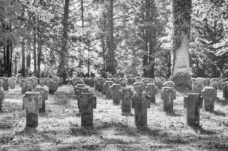 Remembrance of fallen soldiers in the First World War, war graves, graves, forest cemetery, black and white, Stuttgart, Baden-Württemberg, Germany