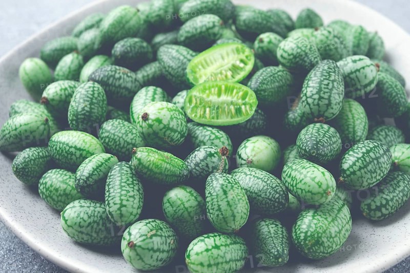 African cucumber, Mexican cucumber, mouse melon, Melothria