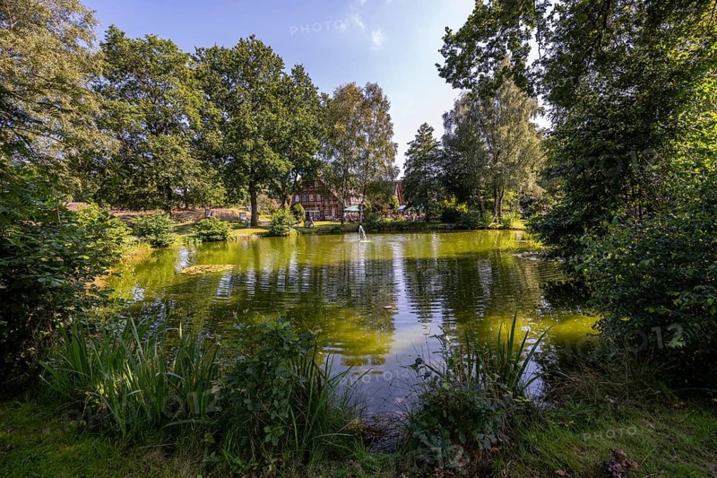 Pond and traditional estate, Undeloh, Lower Saxony, Germany