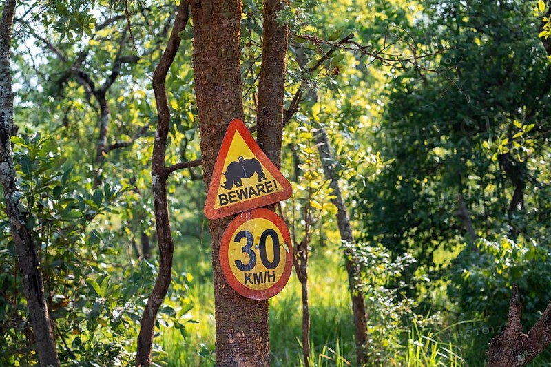 Traffic sign, Attention rhino, Animal welfare, Ziwa Rhino Sanctuary, Uganda